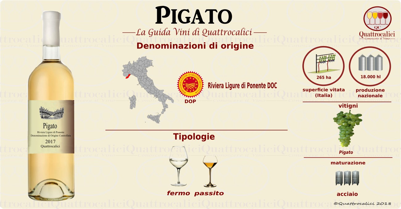 pigato-vini