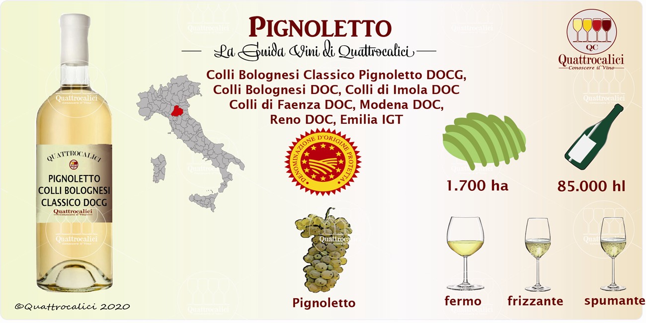pignoletto guida vini