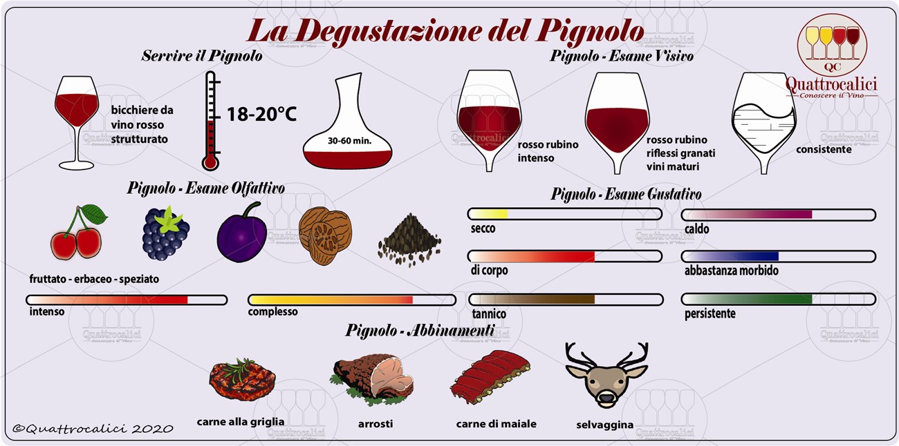pignolo degustazione