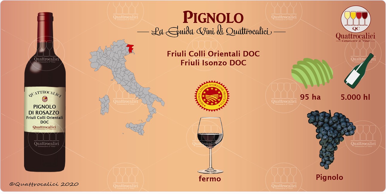 pignolo guida vini