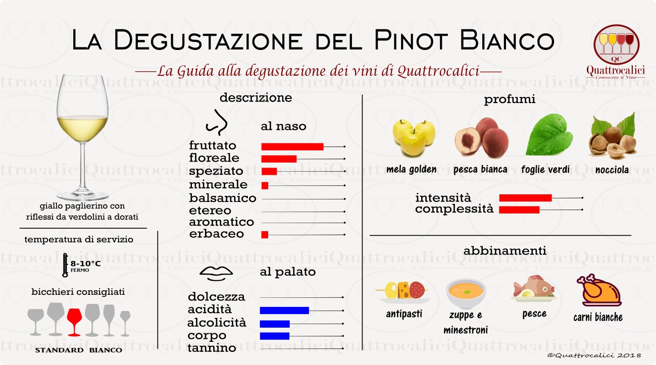 pinot-bianco-degustazione