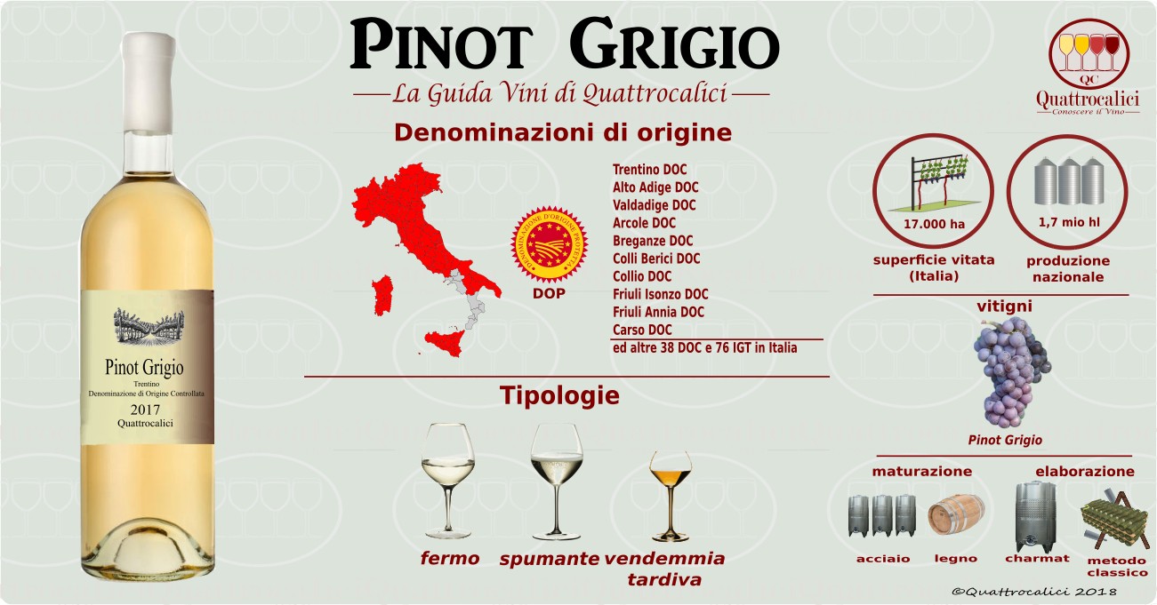pinot-grigio-vini