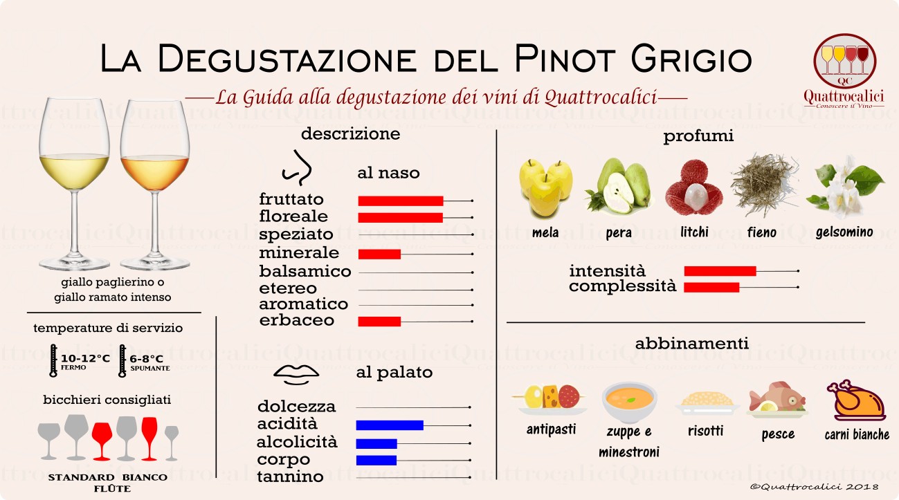 pinot-grigio-vini-degustazione