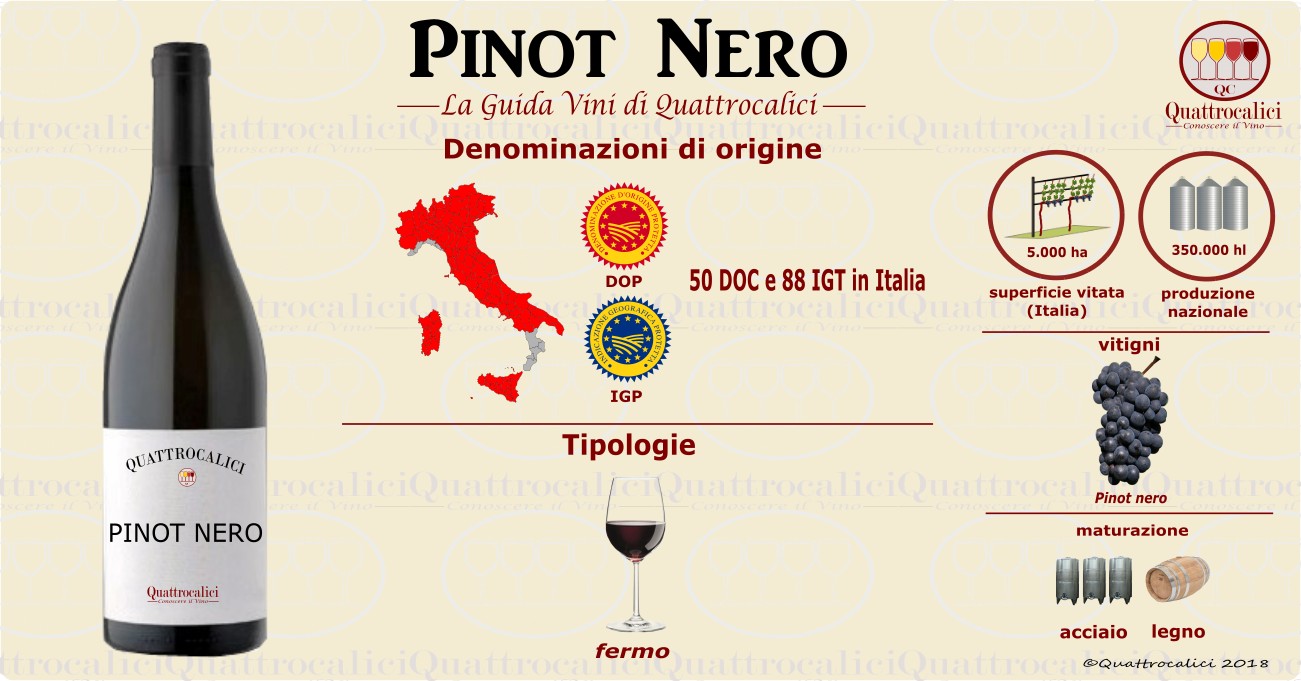 pinot nero vino