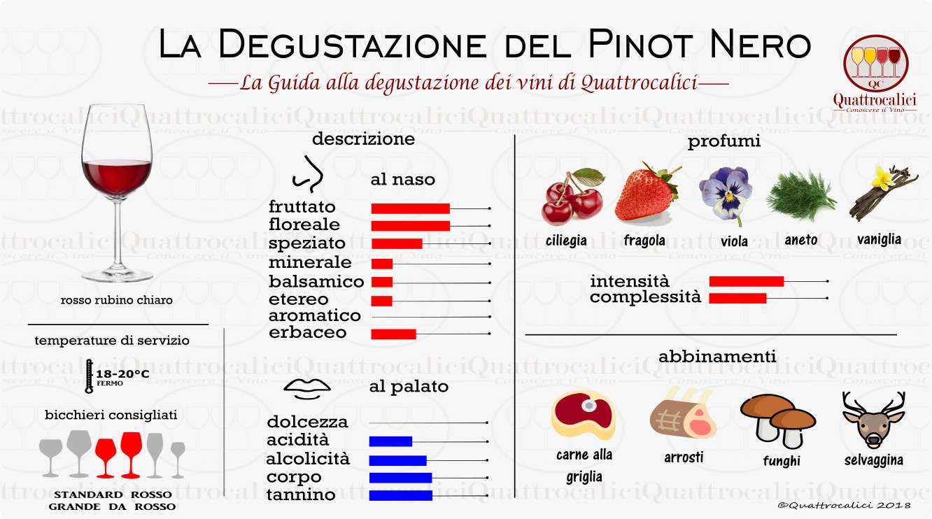 pinot nero degustazione vini