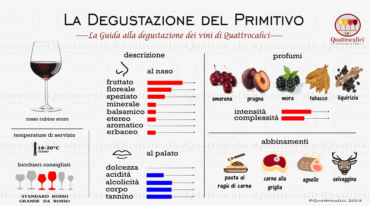 primitivo degustazione vino