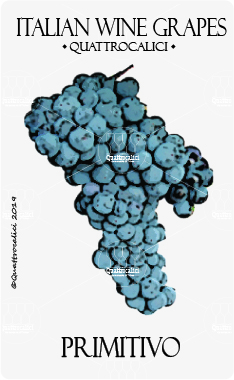 primitivo vitigno