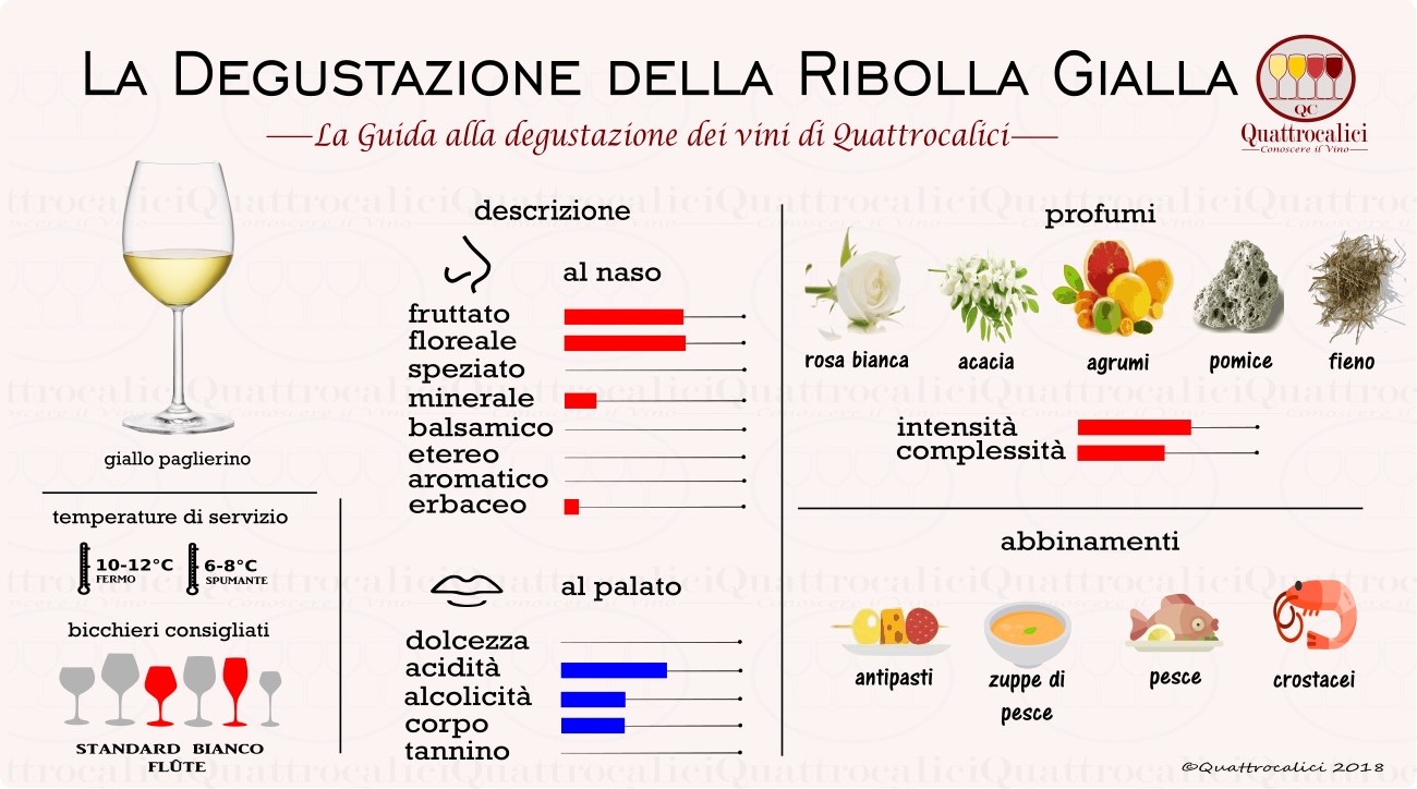 ribolla gialla degustazione vini