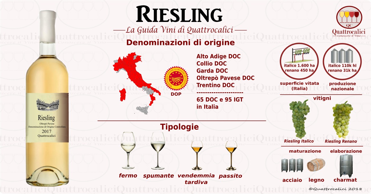 riesling vini