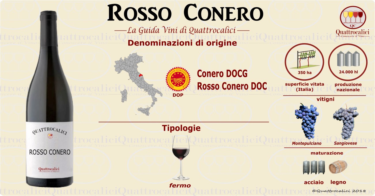 rosso conero vini