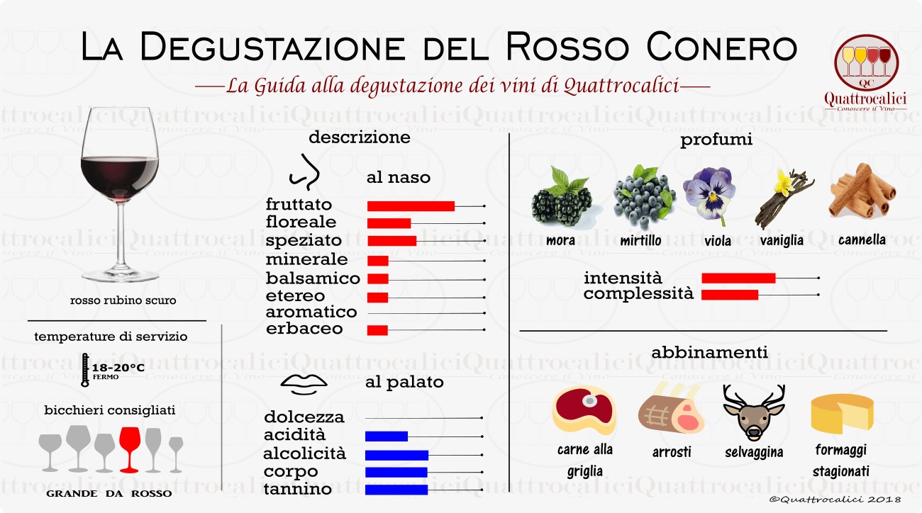 rosso conero degustazione vini