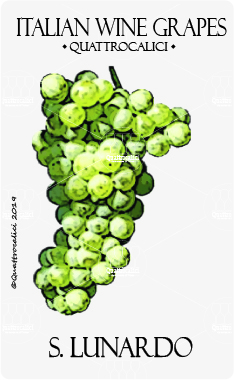 s. lunardo vitigno