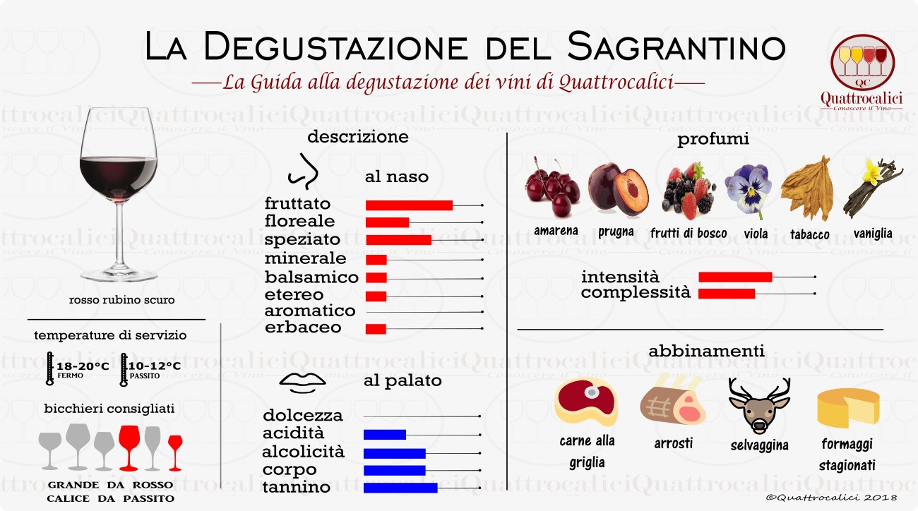 sagrantino degustazione vino