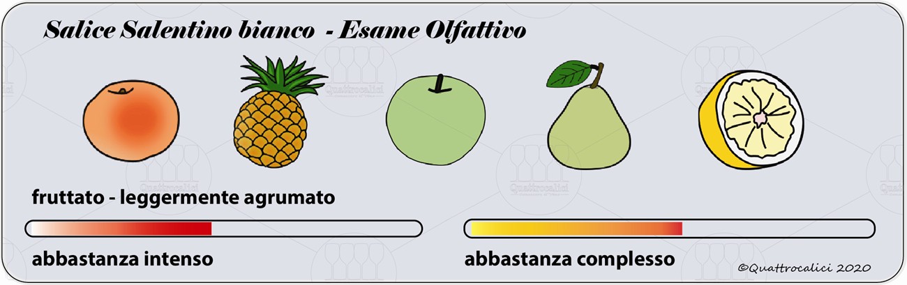 salice salentino bianco degustazione olfattivo