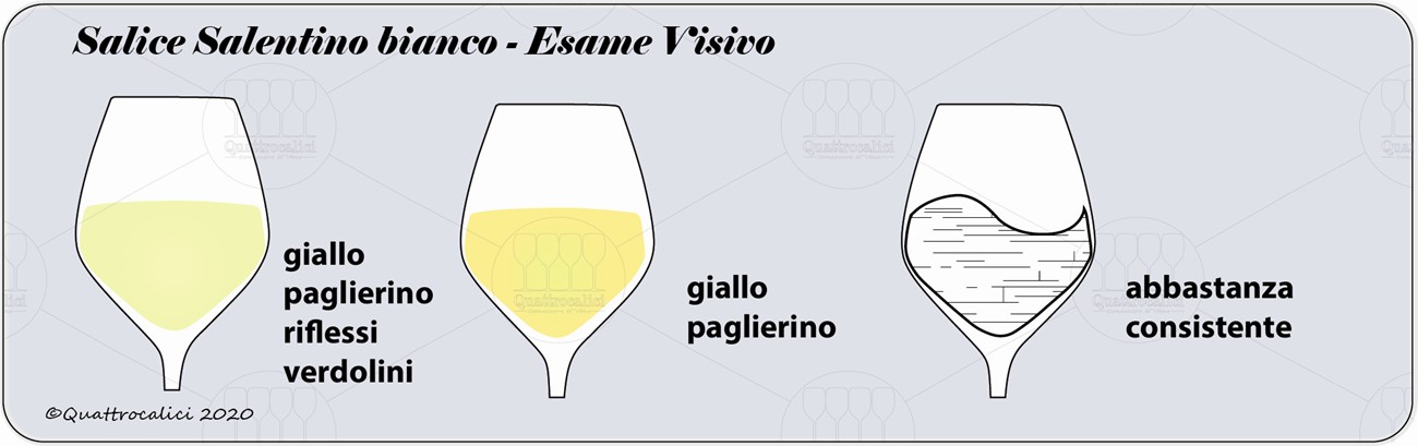 salice salentino bianco degustazione visivo