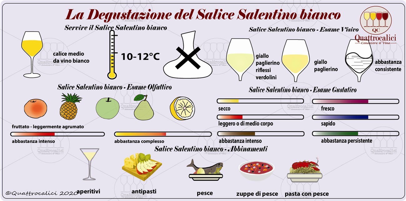 salice salentino bianco degustazione