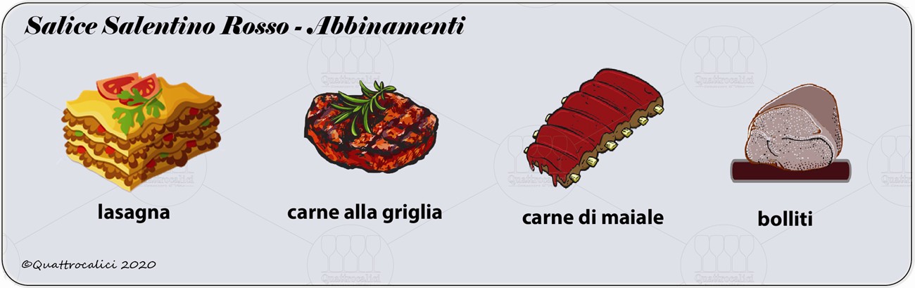 salice salentino rosso degustazione abbinamenti