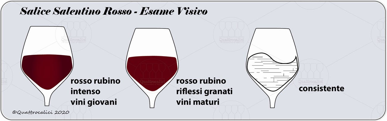 salice salentino rosso degustazione visivo