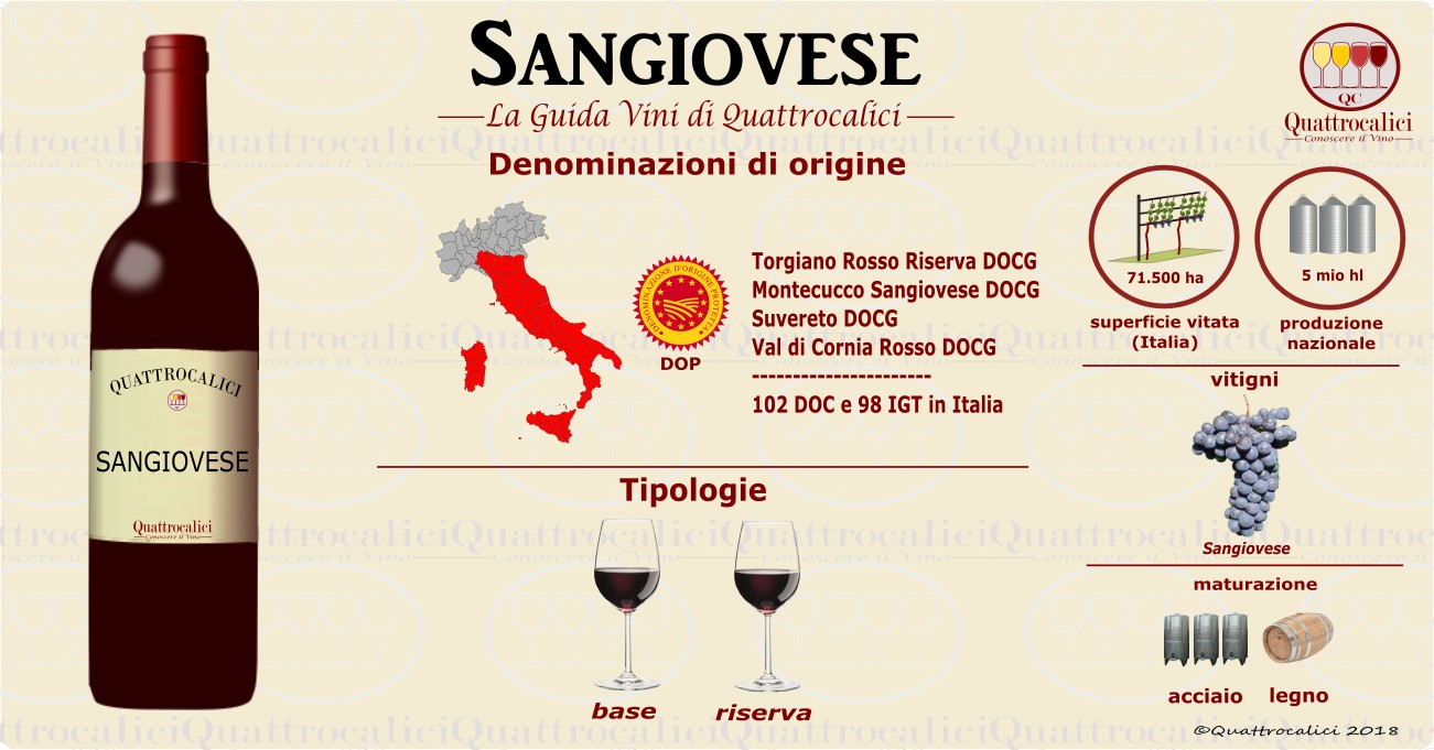 sangiovese vino