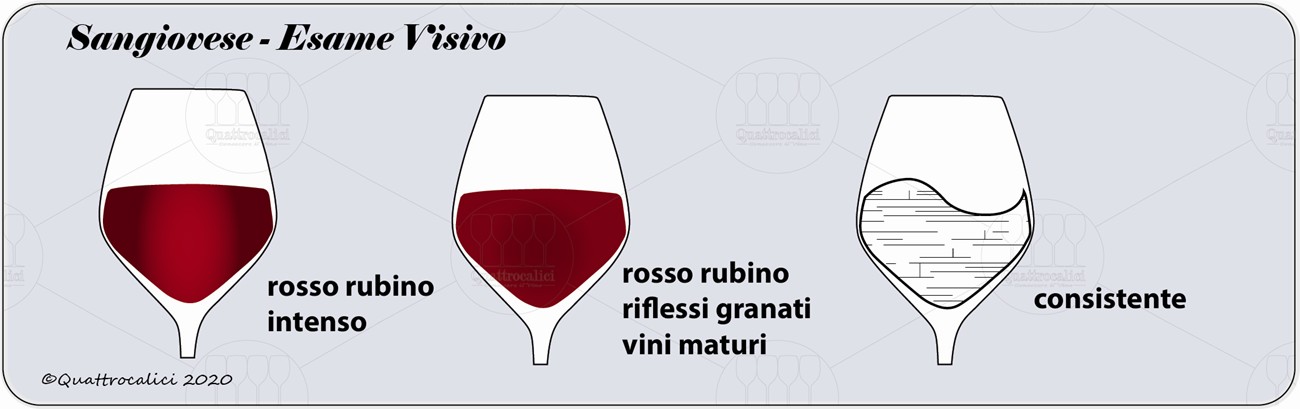 sangiovese degustazione visivo