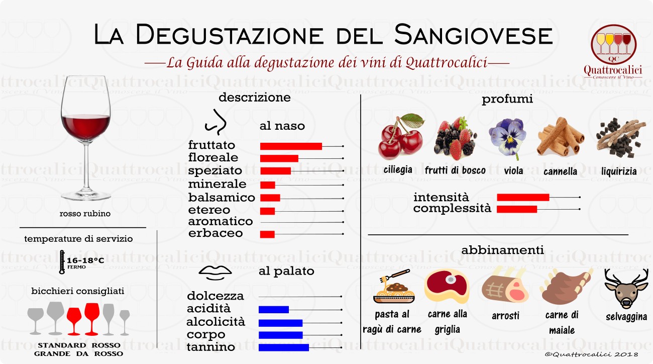 sangiovese degustazione vino