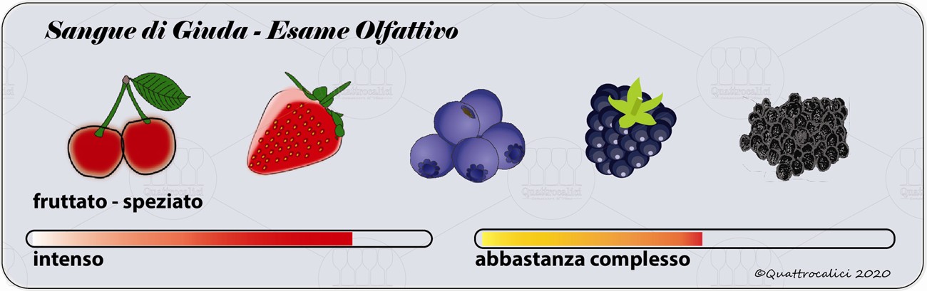 sangue di giuda degustazione olfattivo