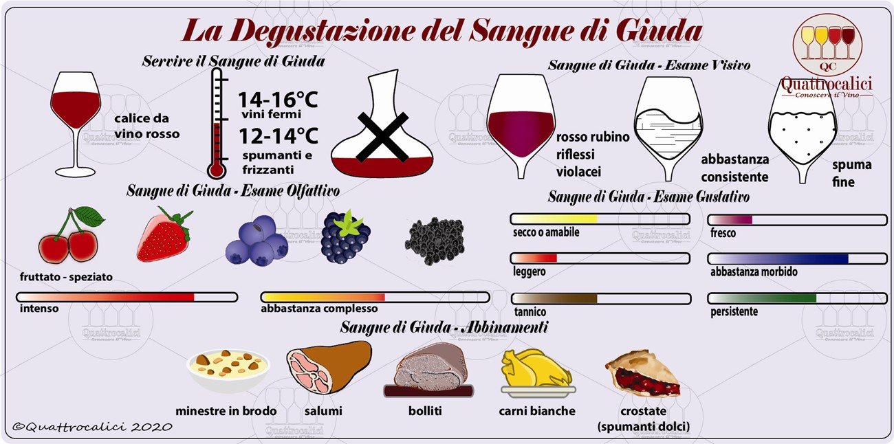sangue di giuda degustazione