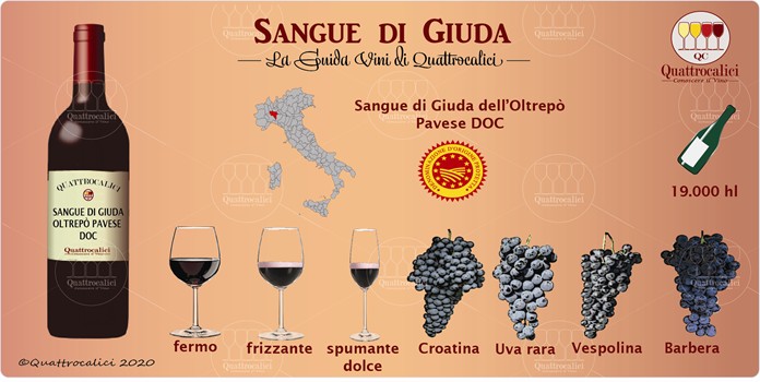 sangue di giuda guida vini