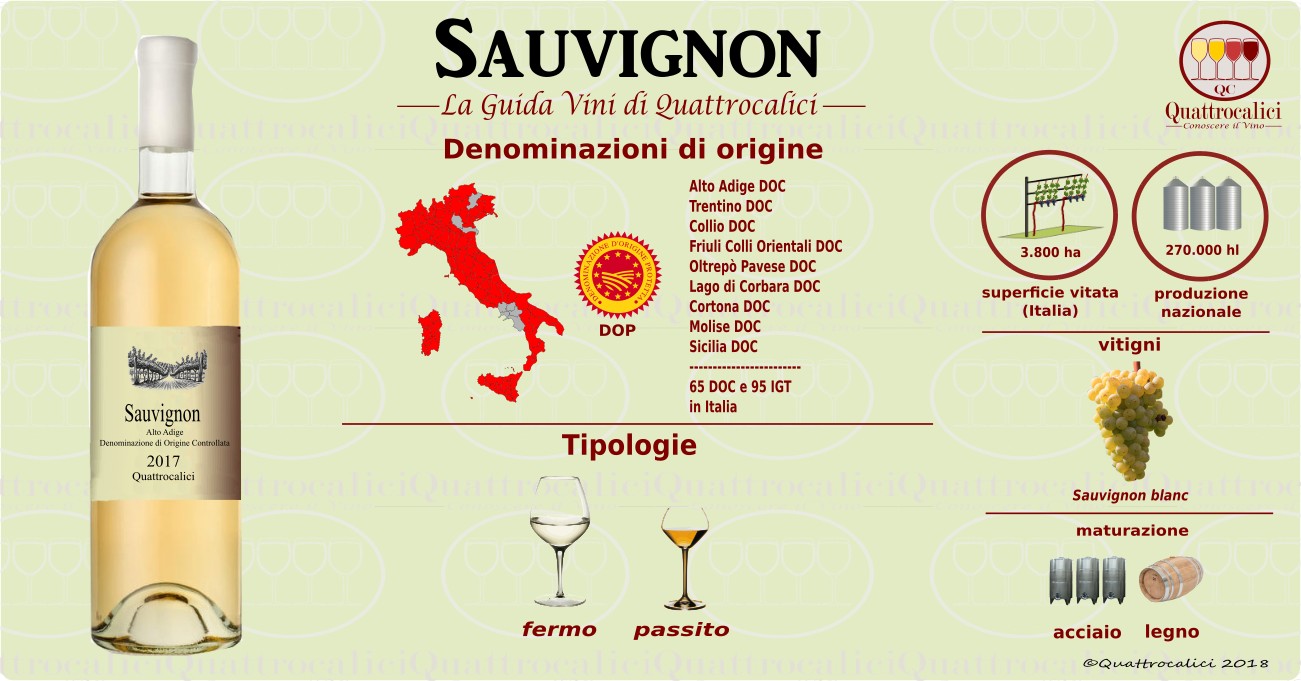 sauvignon vini