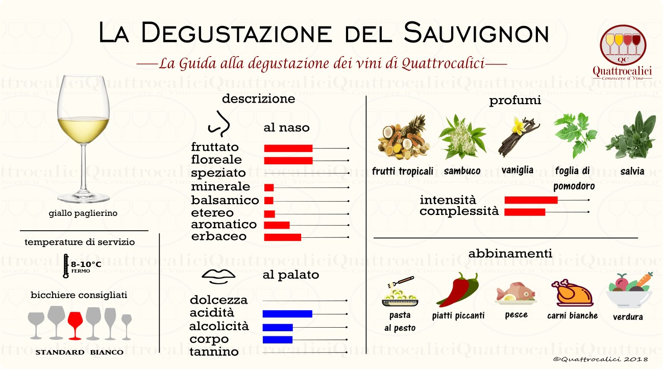 sauvignon-degustazione