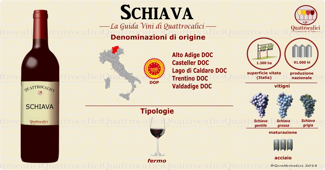 schiava vino