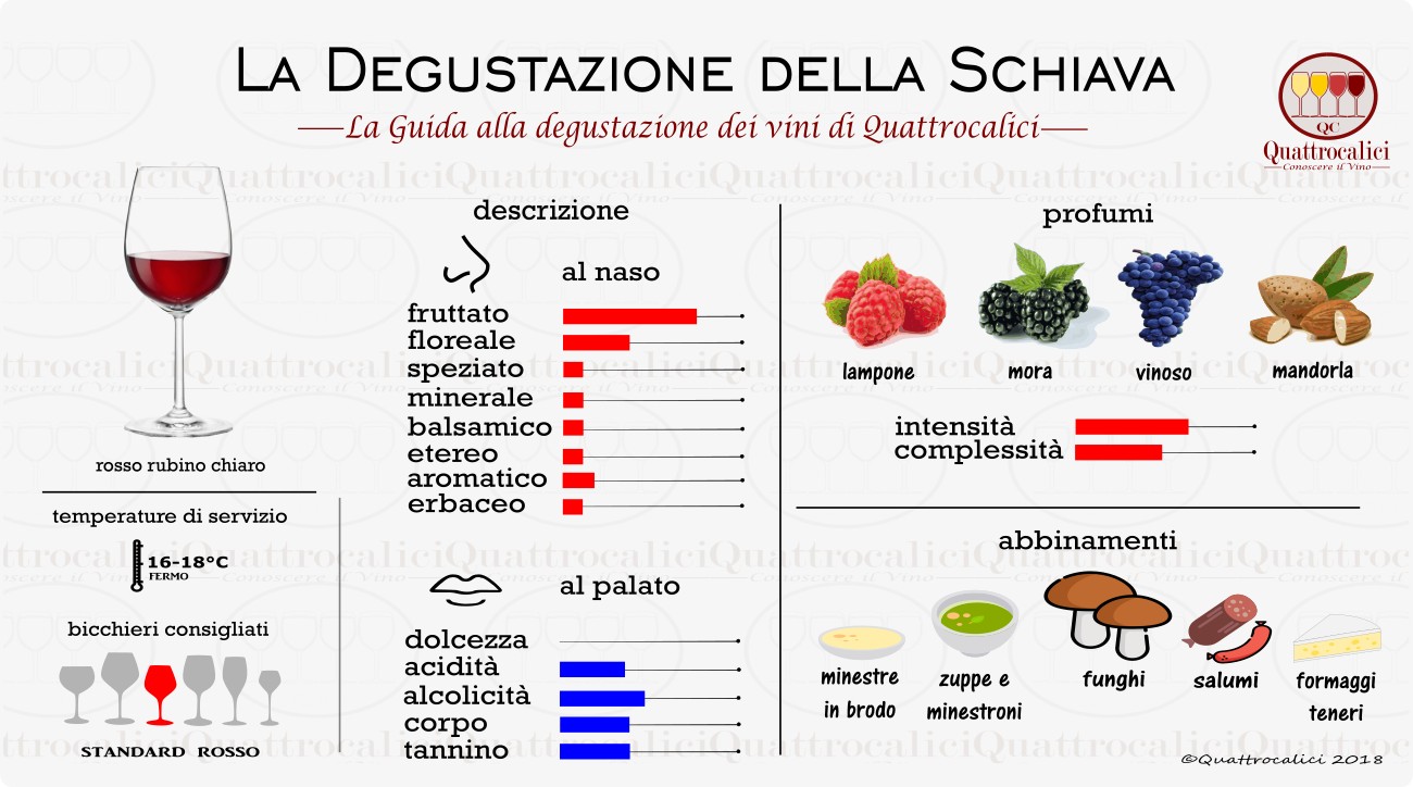 schiava degustazione vino