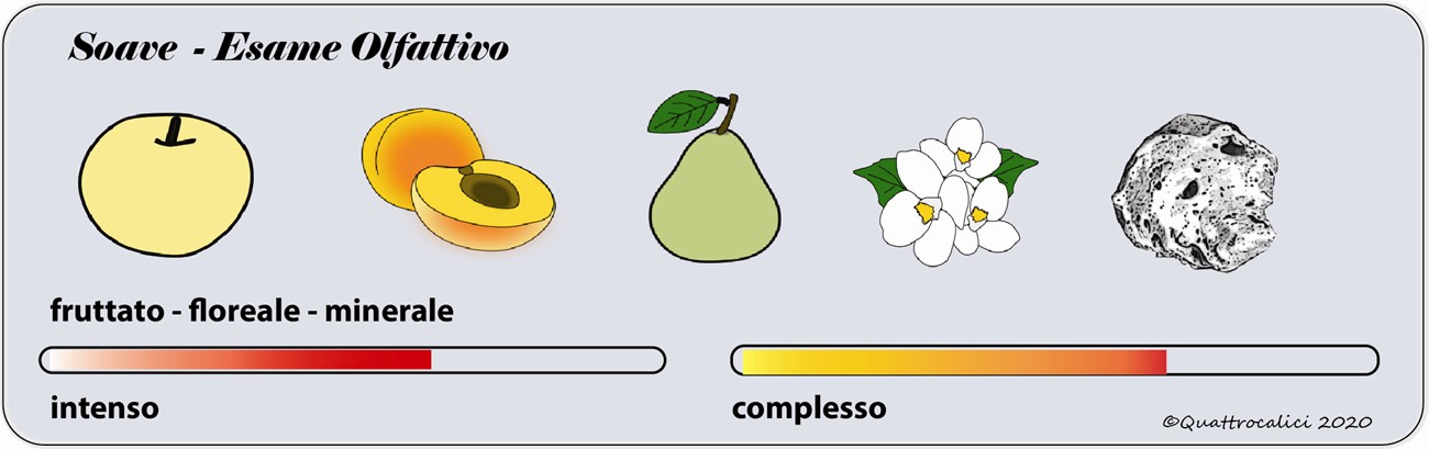 soave degustazione olfattivo