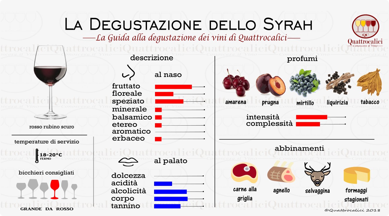 syrah degustazione vino