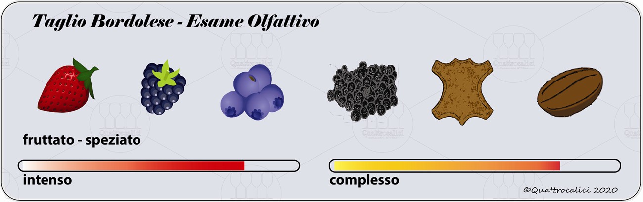 taglio-bordolese degustazione olfattivo