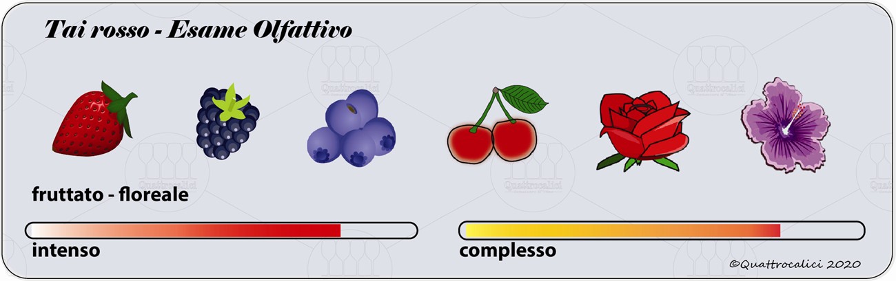 tai rosso degustazione olfattivo