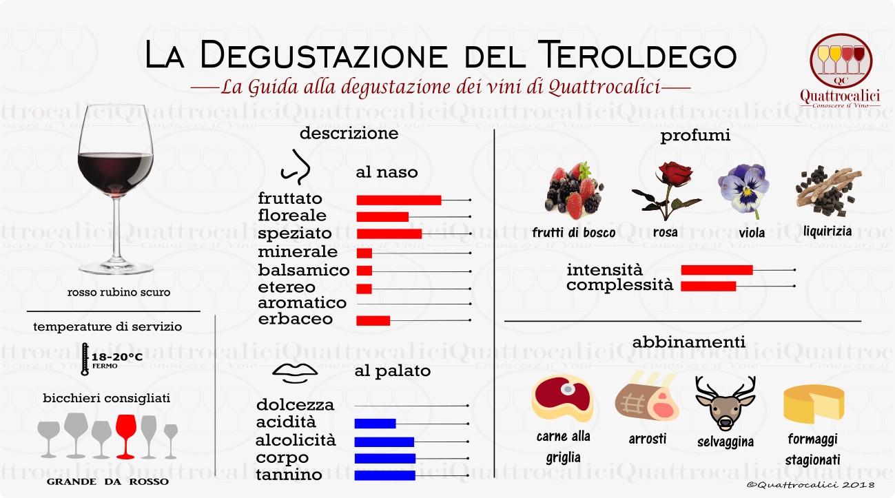 Teroldego - La Degustazione - Quattrocalici