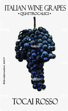 tocai rosso vitigno