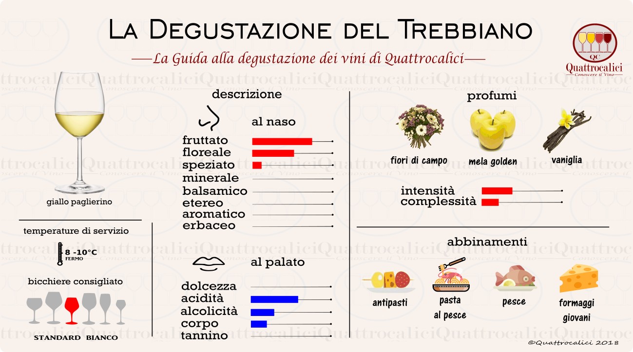 trebbiano-degustazione