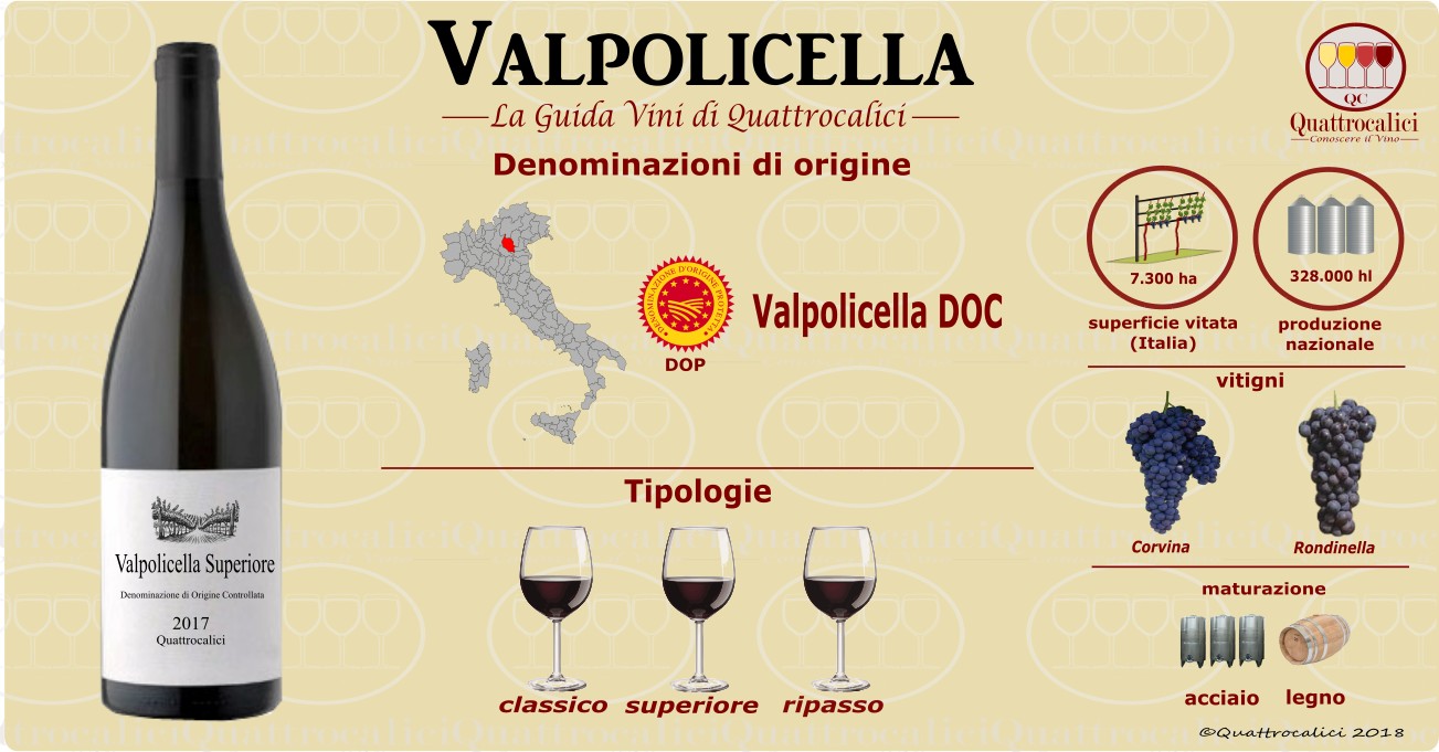 valpolicella vino