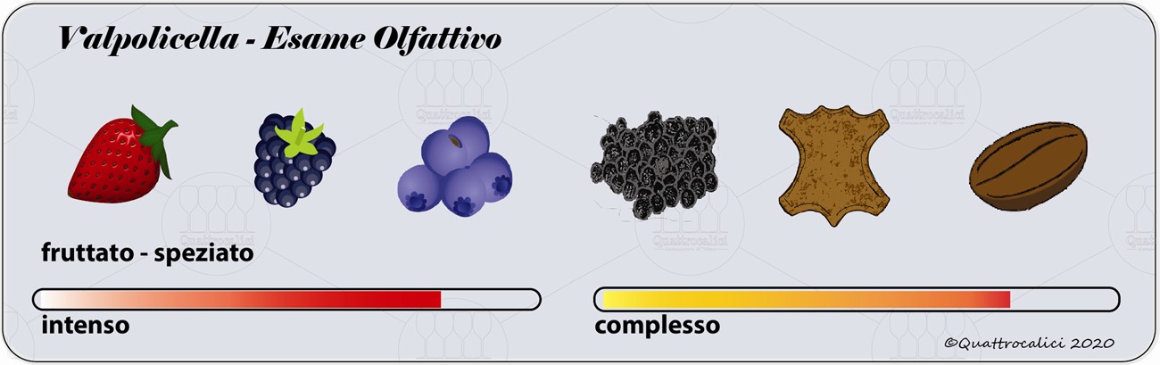 valpolicella degustazione olfattivo