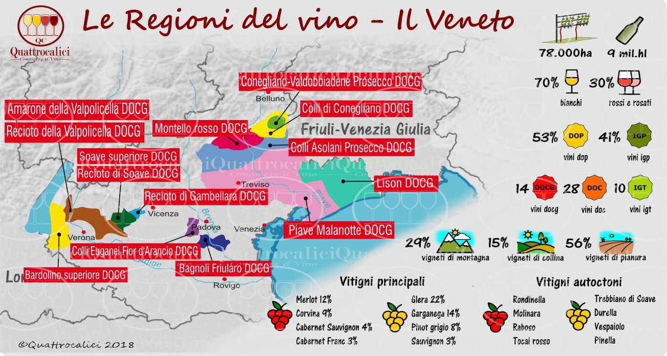 Le regioni del vino: Il Veneto