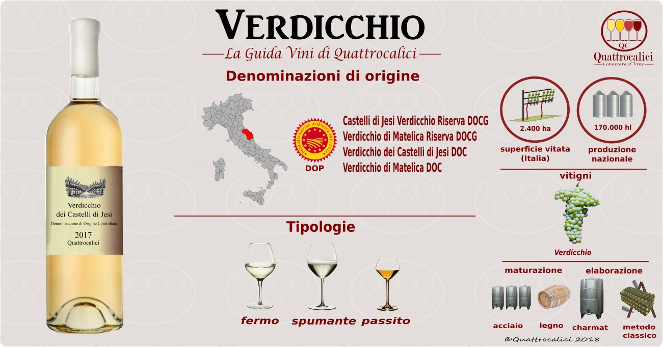verdicchio-vini