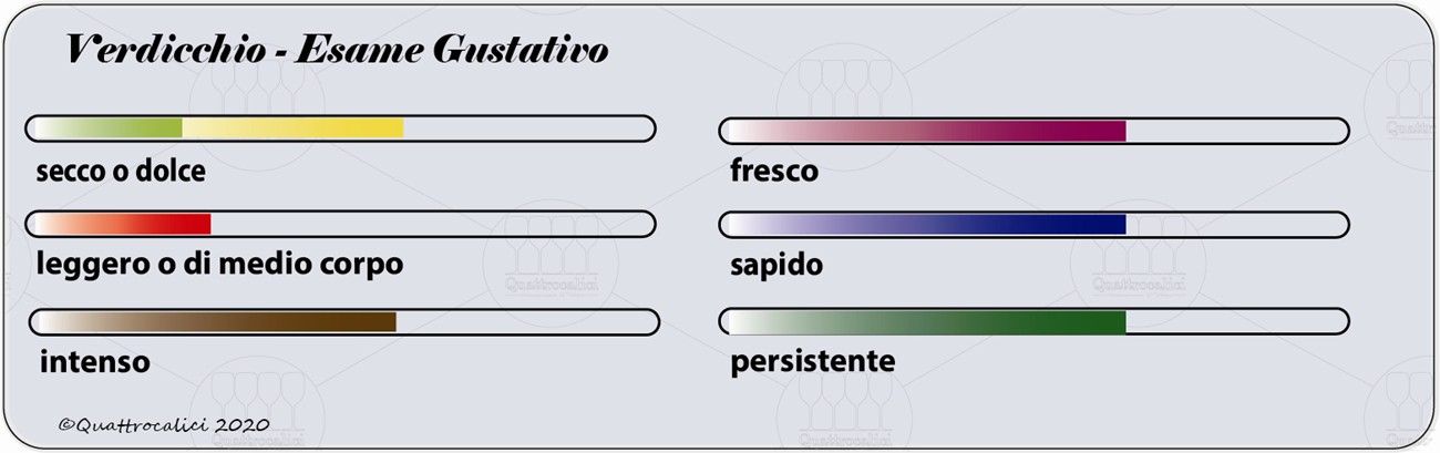 verdicchio degustazione gustativo