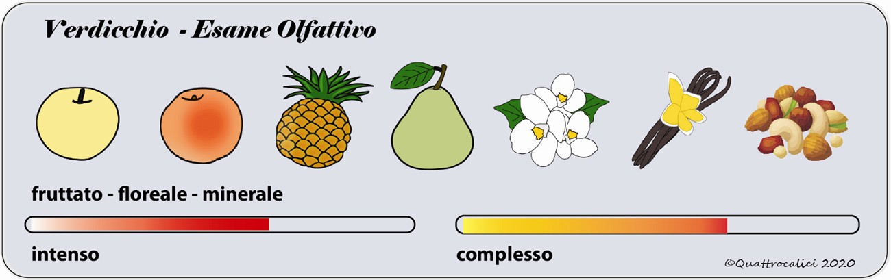 verdicchio degustazione olfattivo