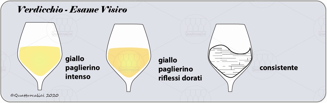 verdicchio degustazione visivo