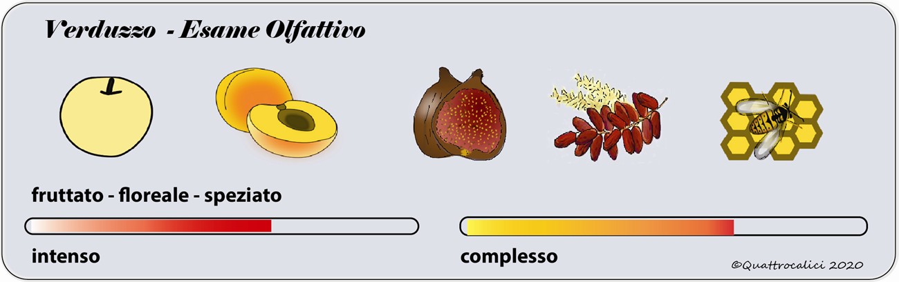 degustazione verduzzo olfattivo