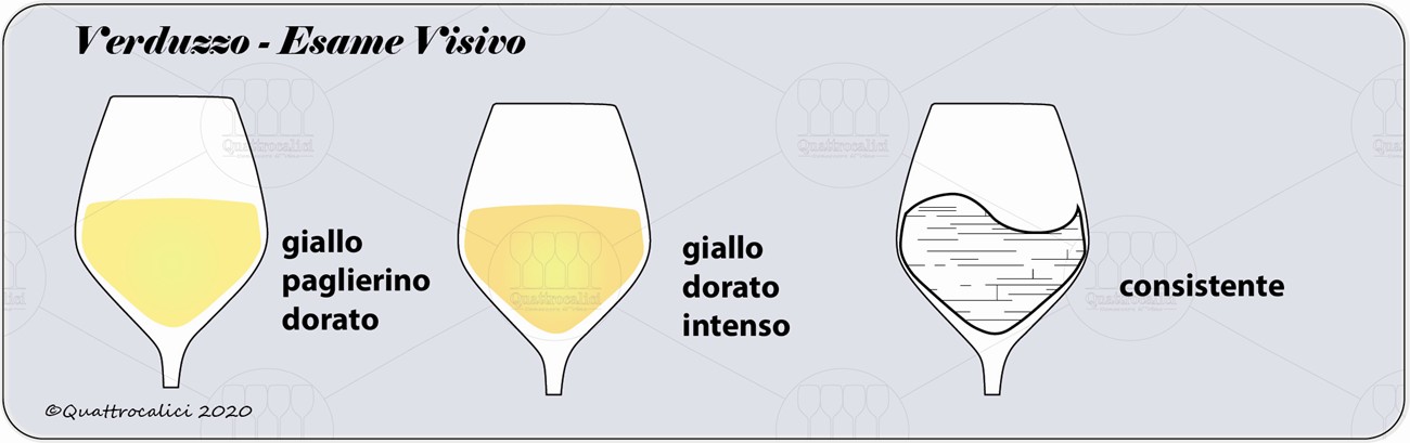 degustazione verduzzo visivo