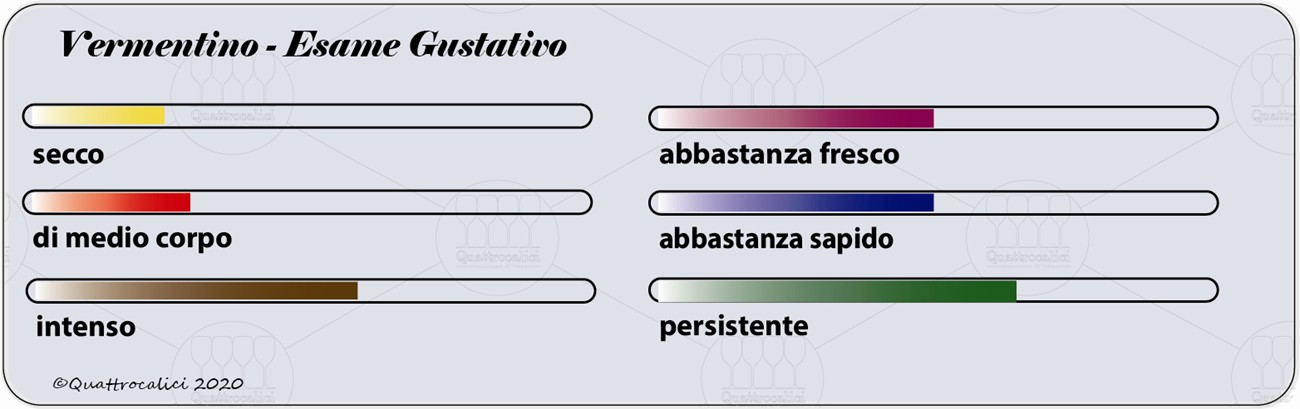 vermentino degustazione gustativo