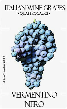 vermentino nero vitigno